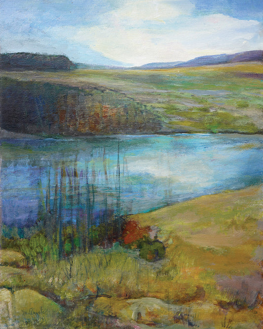 The Quiet Pond