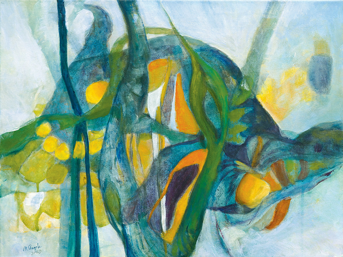 Turtle Dreams
