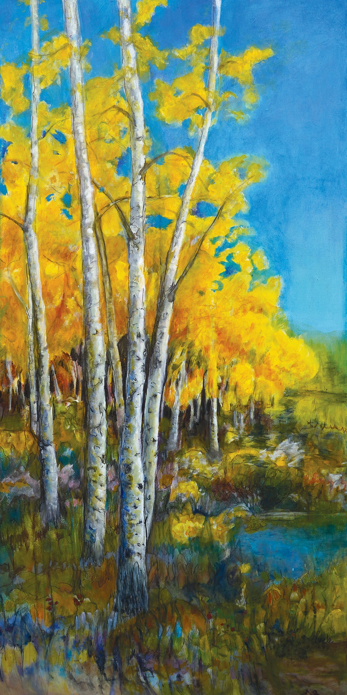 The Aspen Grove