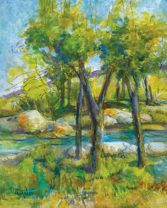 A Shady Spot